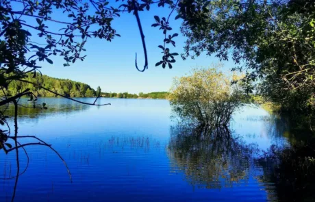 Embalse San Vicente 1