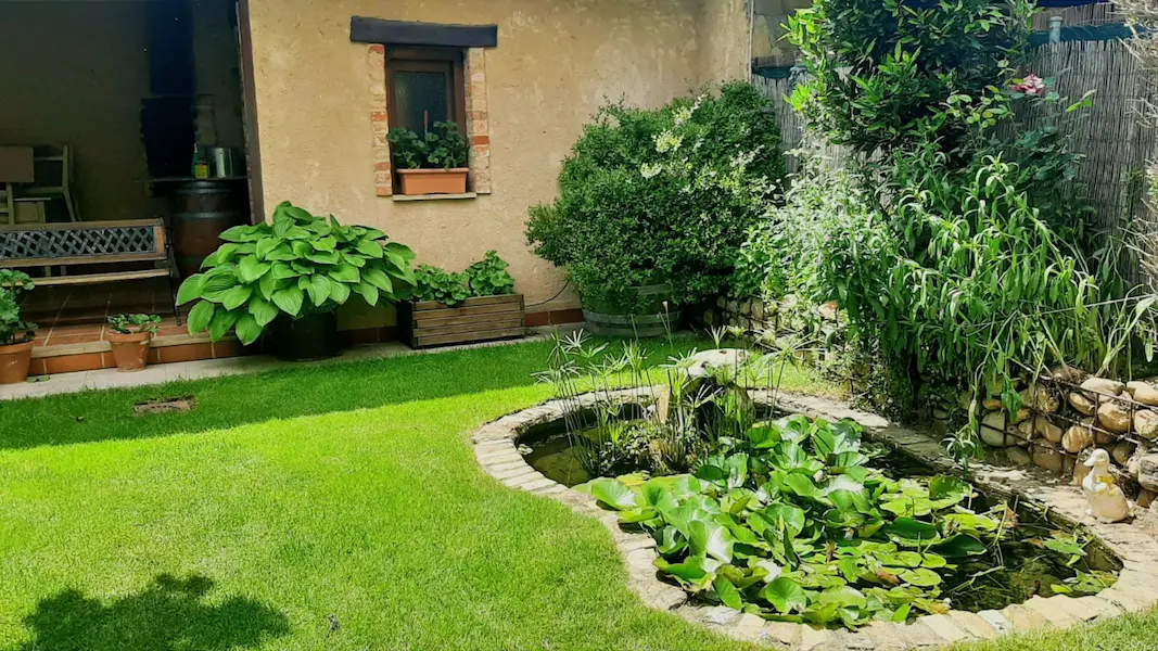 detalle jardín de casa rural